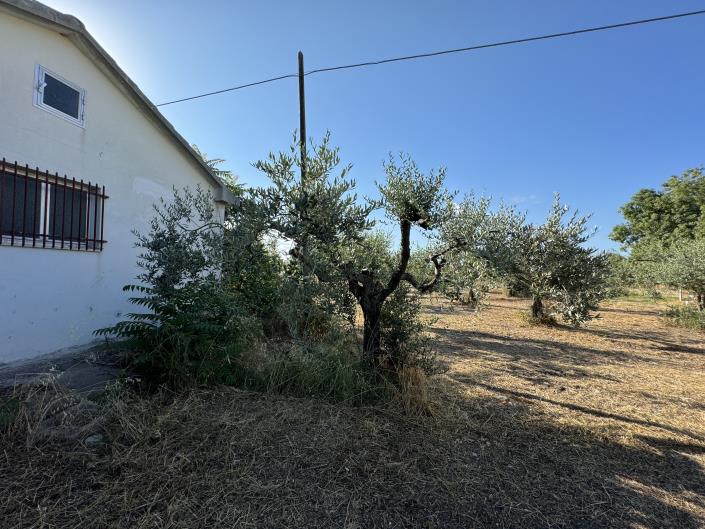 Image No.35-1 Bed Farmhouse for sale