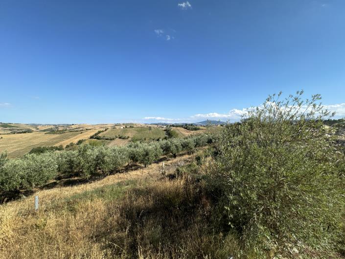 Image No.33-Villa / Detached for sale