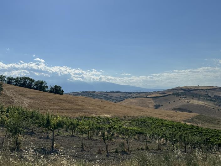 Image No.51-Villa / Detached for sale