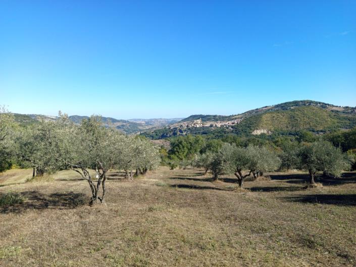 Image No.3-3 Bed Farmhouse for sale