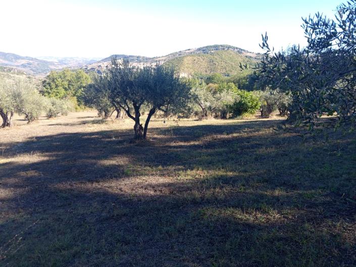 Image No.45-3 Bed Farmhouse for sale