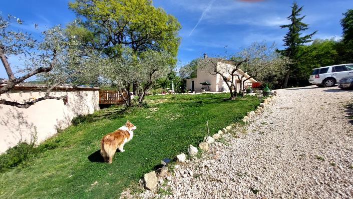 Image No.6-3 Bed Farmhouse for sale