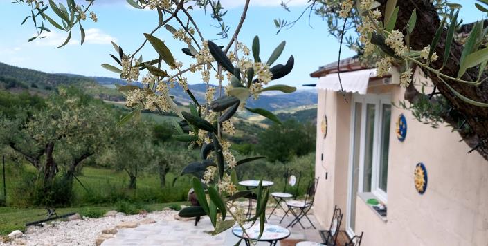 Image No.12-3 Bed Farmhouse for sale