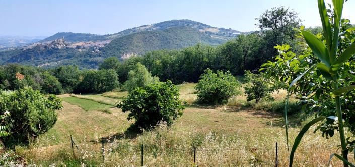 Image No.29-3 Bed Farmhouse for sale