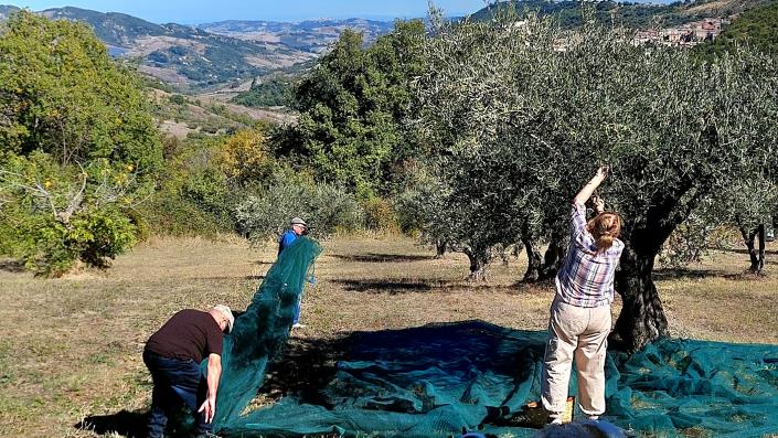 Image No.46-3 Bed Farmhouse for sale