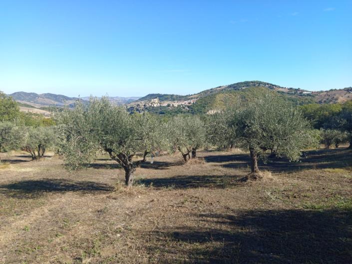 Image No.44-3 Bed Farmhouse for sale