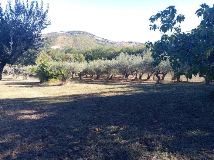 Image No.45-3 Bed Farmhouse for sale