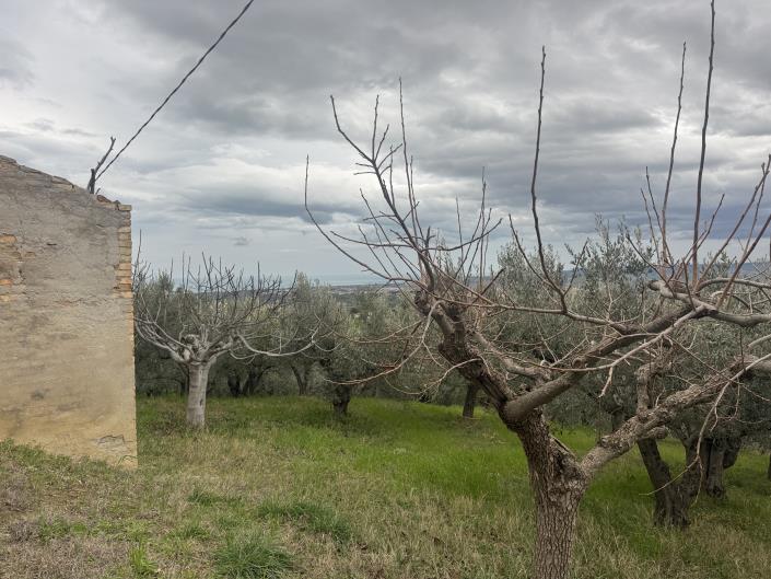 Image No.16-Farmhouse for sale