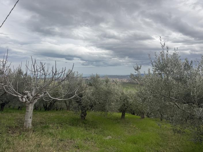 Image No.17-Farmhouse for sale