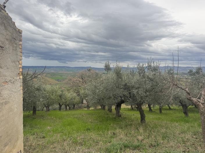 Image No.18-Farmhouse for sale