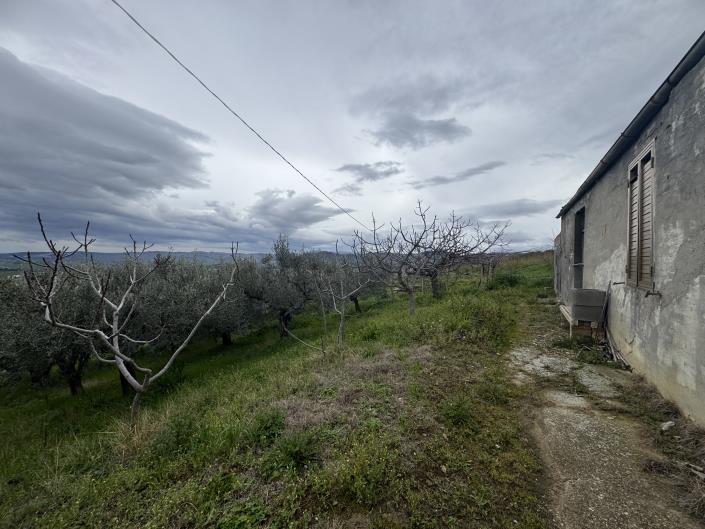 Image No.21-Farmhouse for sale