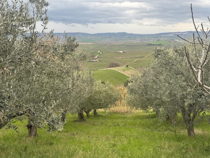 Image No.5-Farmhouse for sale