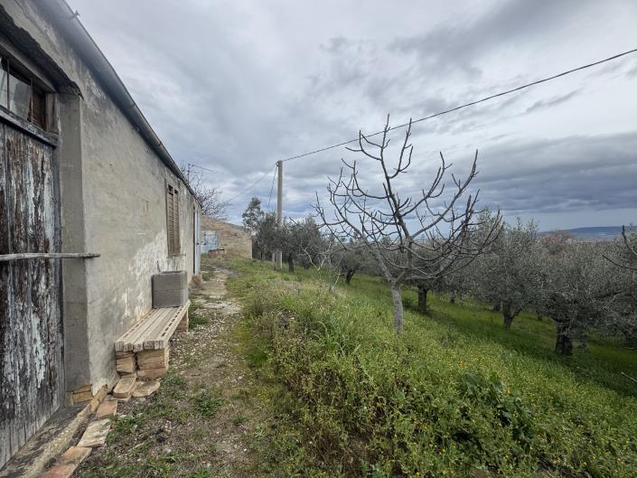 Image No.27-Farmhouse for sale