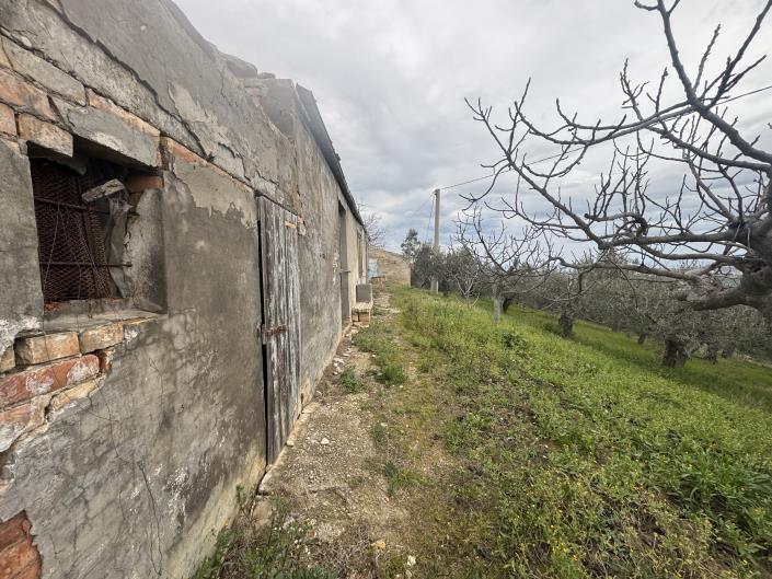 Image No.12-Farmhouse for sale