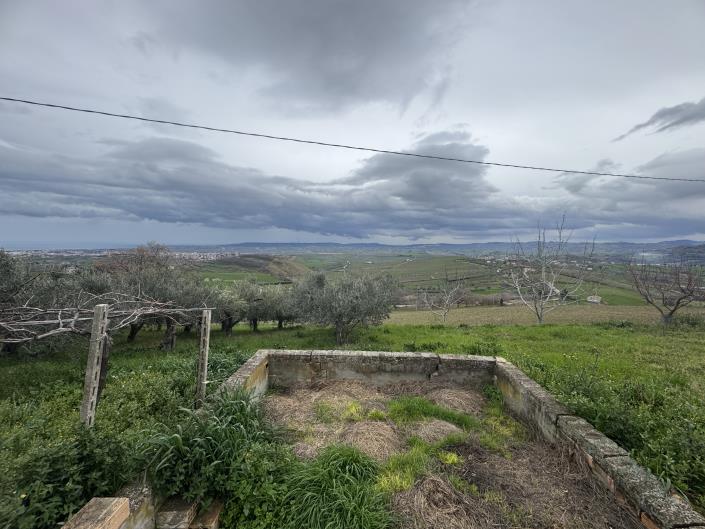 Image No.9-Farmhouse for sale