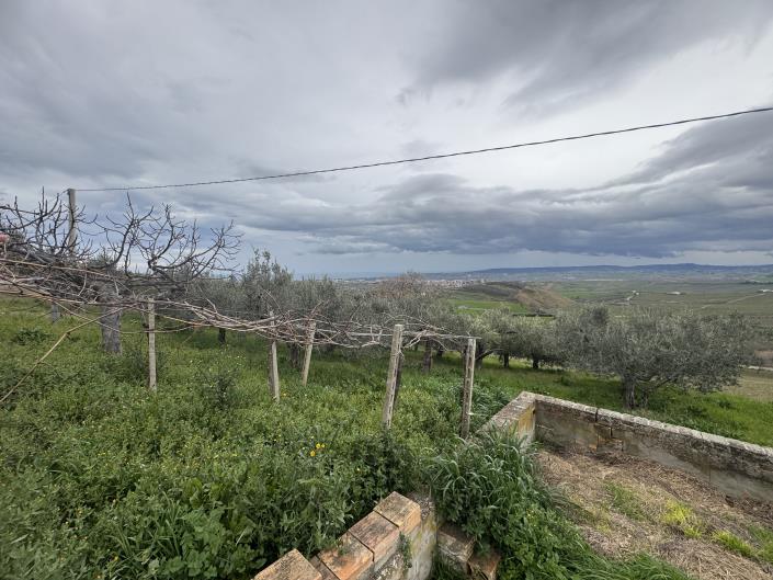 Image No.30-Farmhouse for sale