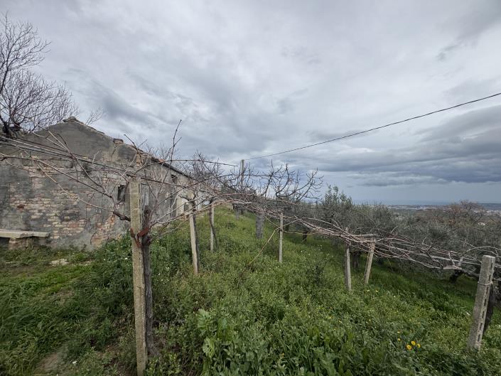 Image No.31-Farmhouse for sale