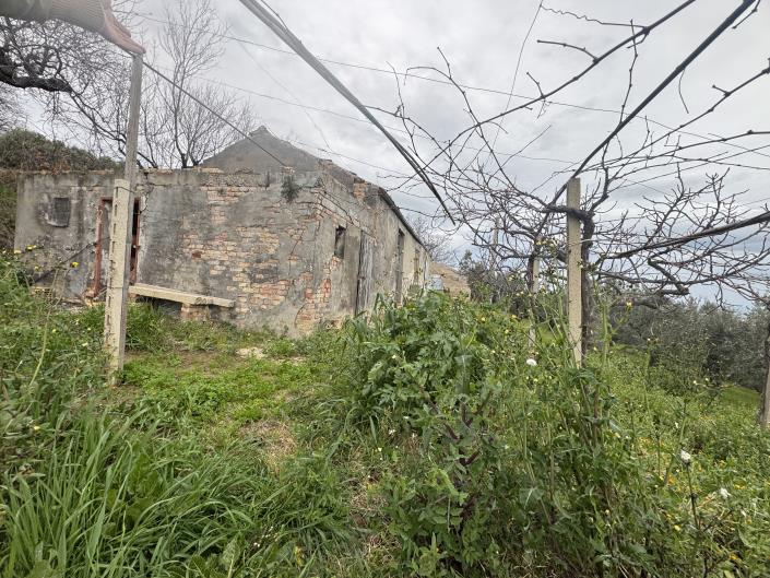 Image No.35-Farmhouse for sale