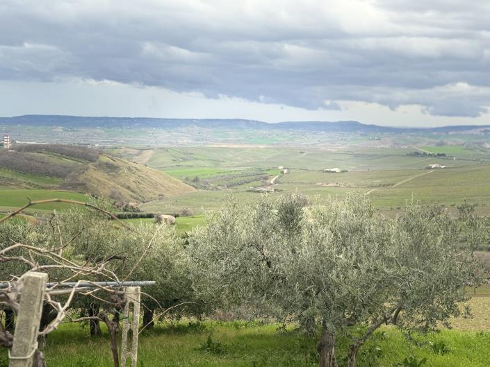 Image No.4-Farmhouse for sale