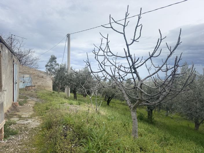 Image No.36-Farmhouse for sale