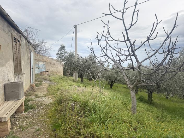 Image No.37-Farmhouse for sale