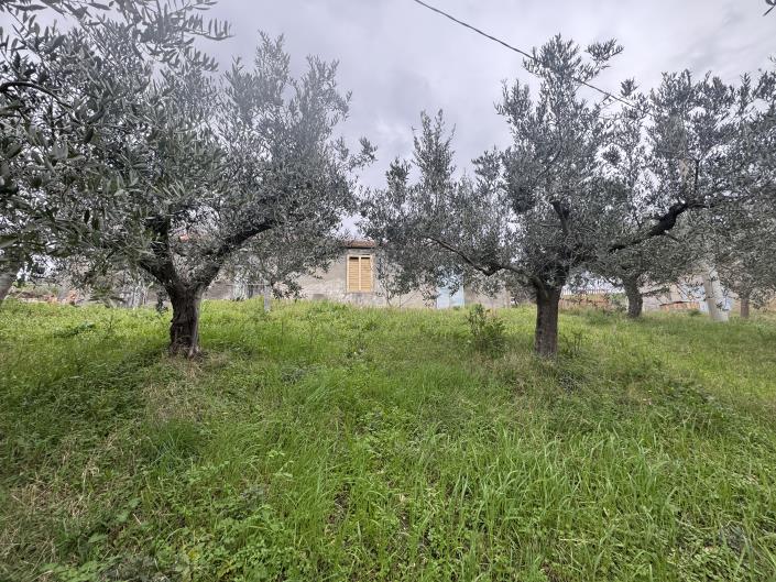 Image No.8-Farmhouse for sale