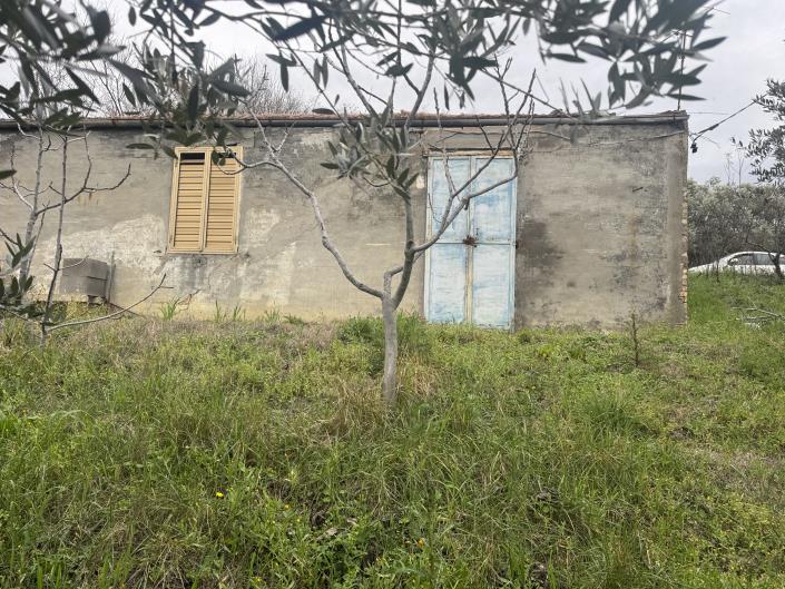 Image No.3-Farmhouse for sale