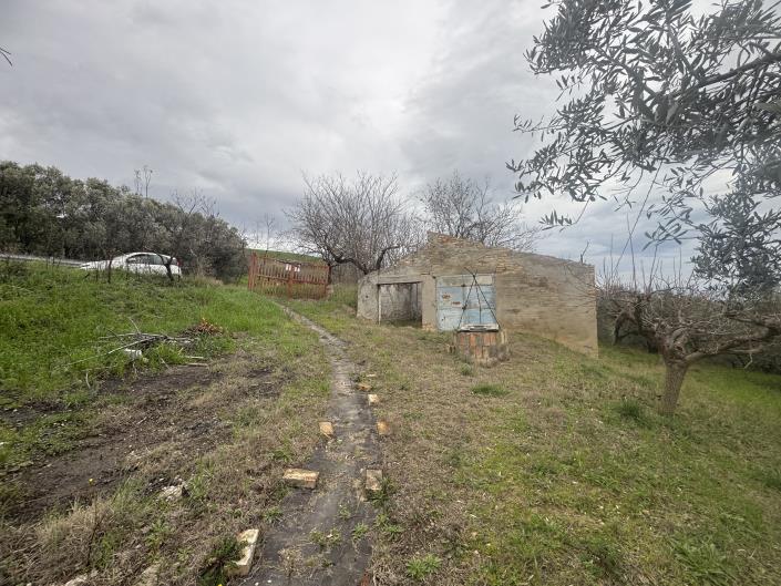 Image No.43-Farmhouse for sale