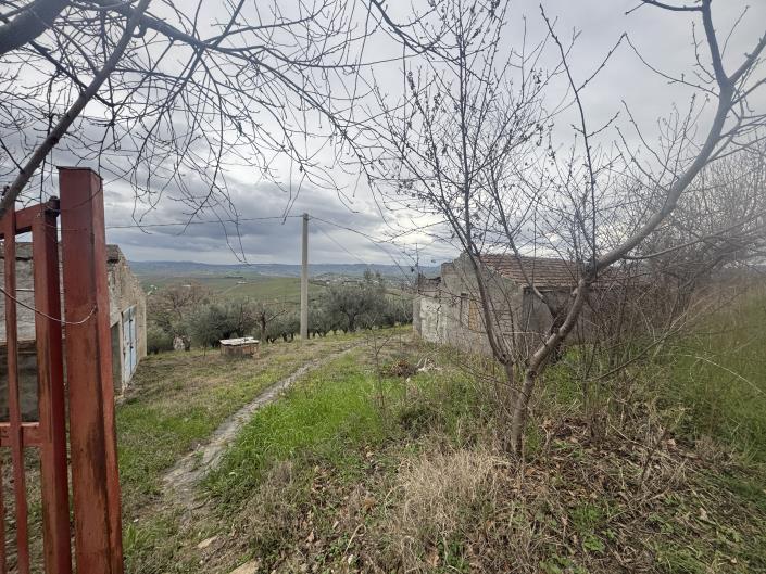 Image No.46-Farmhouse for sale