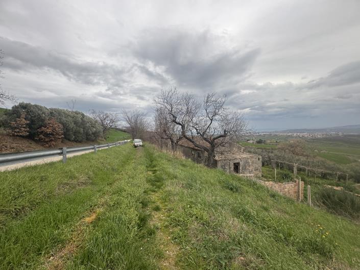 Image No.42-Farmhouse for sale