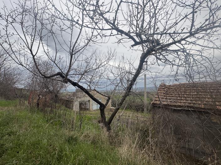 Image No.51-Farmhouse for sale