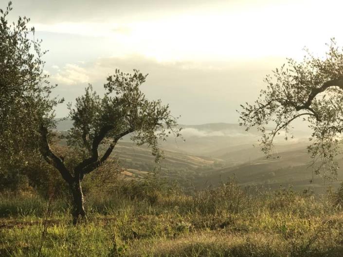 Image No.30-3 Bed House/Villa for sale