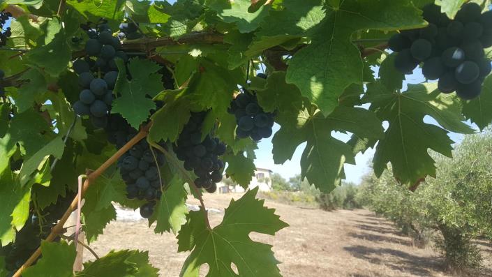 Image No.29-3 Bed House/Villa for sale