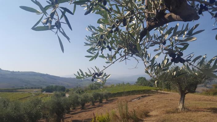 Image No.28-3 Bed House/Villa for sale