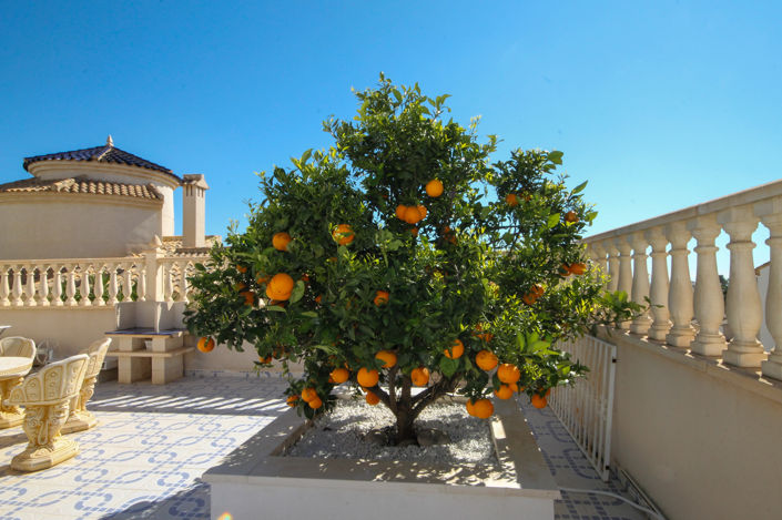 Image No.36-Villa de 4 chambres à vendre à Orihuela Costa