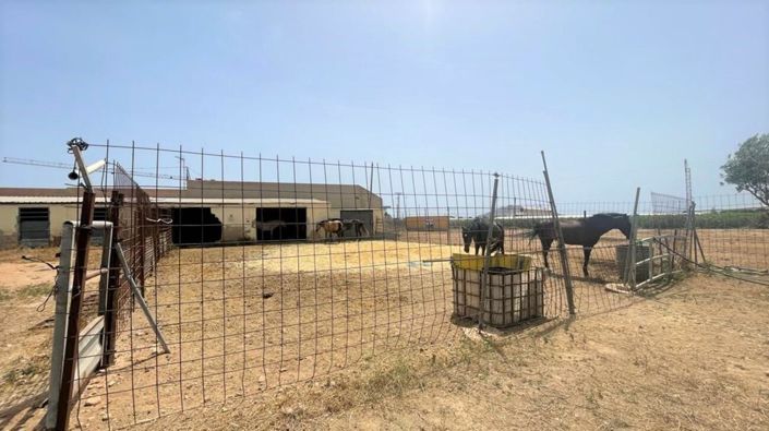 Image No.17-Commercial à vendre à Balsicas