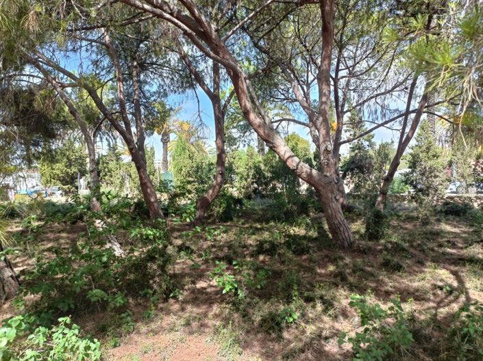 Image No.4-Land for sale