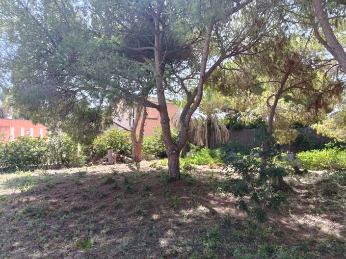 Image No.5-Land for sale
