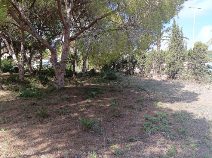Image No.6-Land for sale