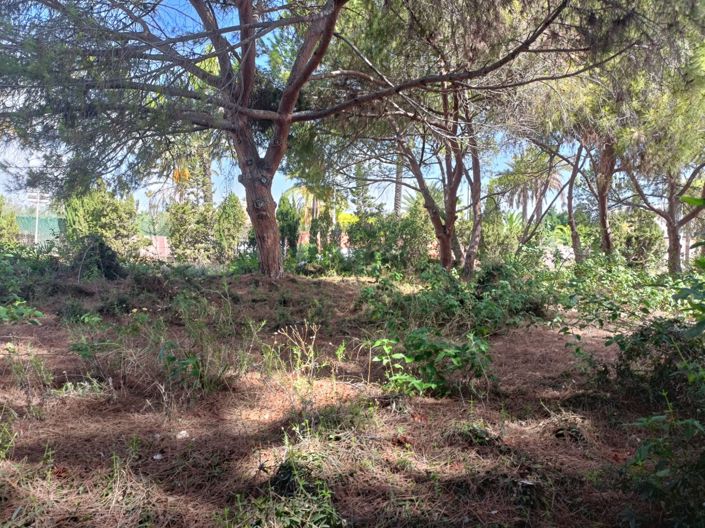 Image No.7-Land for sale