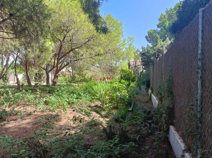 Image No.8-Land for sale