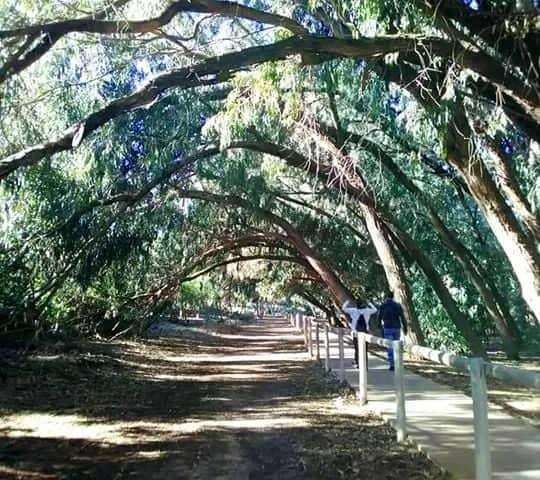 Image No.10-2 Bed Bungalow for sale