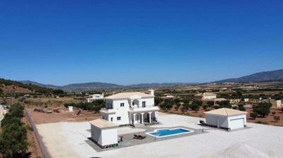 1196886