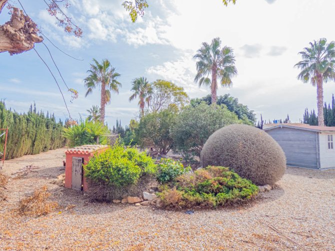Image No.26-Finca de 4 chambres à vendre à San Javier