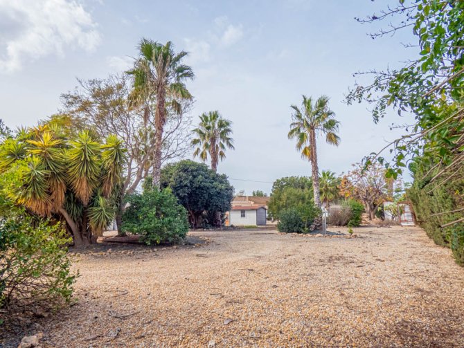 Image No.32-Finca de 4 chambres à vendre à San Javier