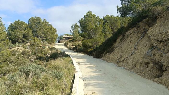 Image No.4-3 Bed Finca for sale