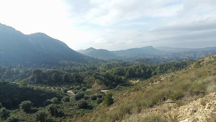 Image No.35-3 Bed Finca for sale