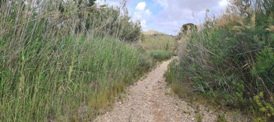 129264107560303261258502