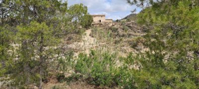 129264107560303261258503