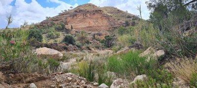 129264107560303261259017